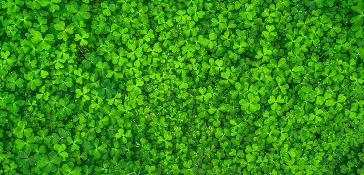 Family-Friendly Movies for St. Patrick’s Day
